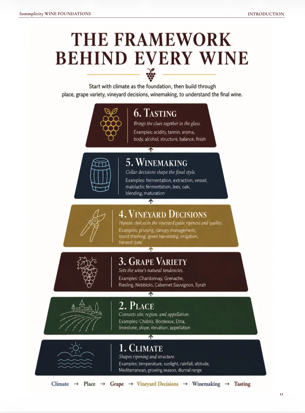 Wine Foundations preview page 4