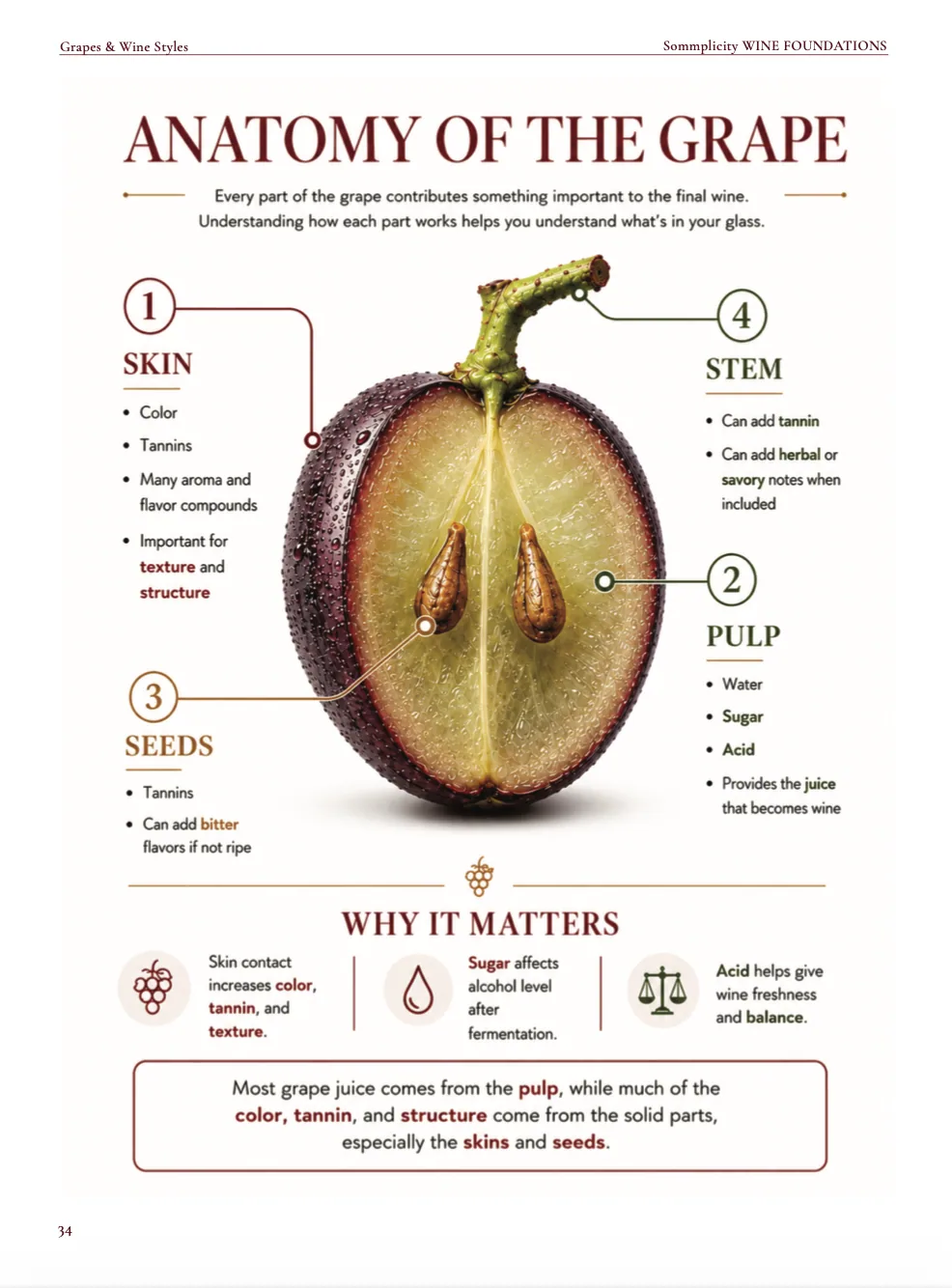 Wine Foundations preview page 8