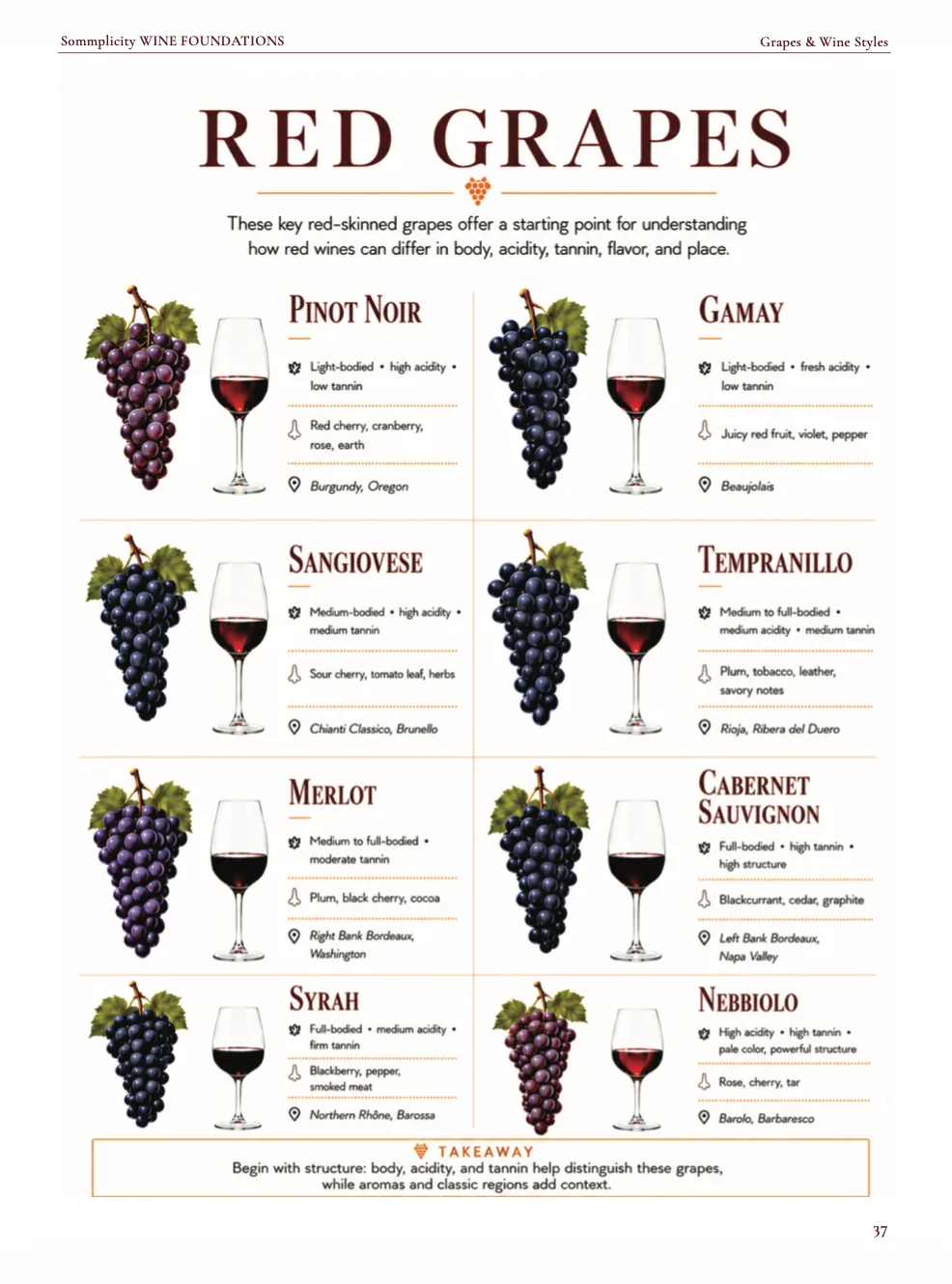 Wine Foundations preview page 9