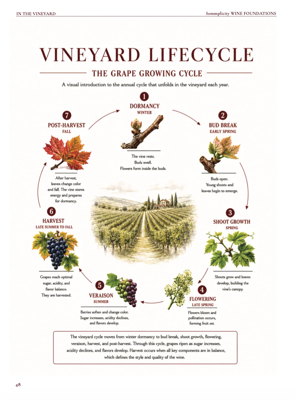 Wine Foundations preview page 11